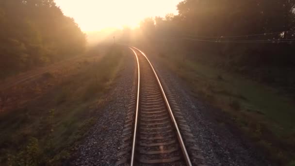 Медленный полет беспилотника над туманной железной дорогой, проходящей через осенний лес на рассвете . — стоковое видео