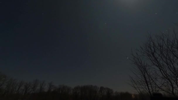 Sterrenbeelden Beweging Draaiende Sterren Winternachtelijke Hemel Heelal Buitenruimte Veld — Stockvideo