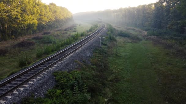 Вантажний поїзд залишає туман вугіллям у вагонах. Ранкові сонячні промені в тумані . — стокове відео