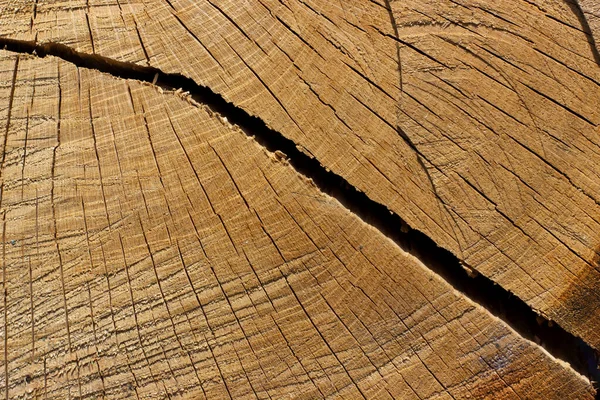 Textura Uma Redução Uma Árvore Com Fendas Fundo Madeira Com — Fotografia de Stock