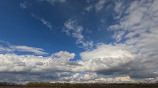 Czas upływa gęste białe chmury na horyzoncie drzew, błękitne niebo pokryte chmurami. — Wideo stockowe