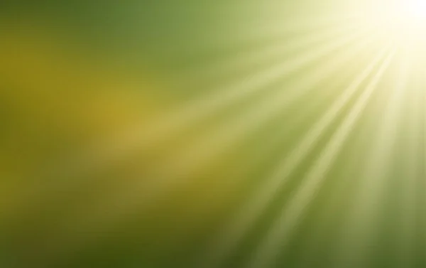Dente Leão Amarelo Sol Luz Solar Brilhante Dia Primavera Claro — Fotografia de Stock