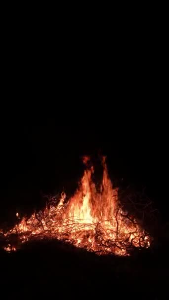 Burning Branches Dark Big Flame Fire Woods Vertical Video — Stock Video