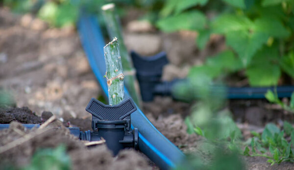 Крупный план крана на трубе для полива