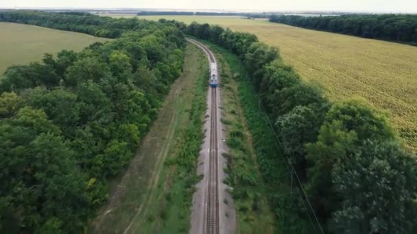 Tåget Färdas Järnvägsspår Jaga Ett Tåg Med Drönare Genom Skogen — Stockvideo