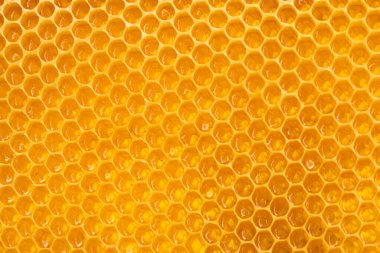 Honeycombs background texture of honeycombs filled with honey