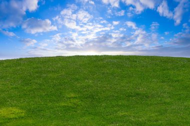 Hill with green grass and sunrise.