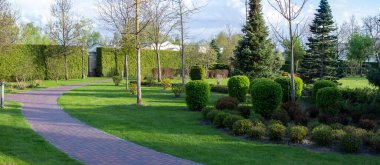 Landscape design in the park with stone path and fir trees, green fence with thuja, bushes and trees. Spring landscape panorama
