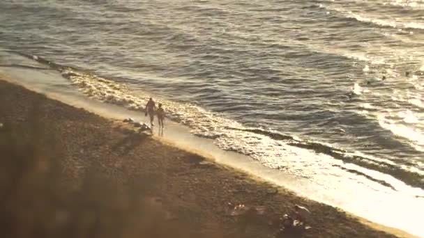 Paar lopen langzaam langs de kust van de koele zee bij dageraad blootsvoets in het water — Stockvideo