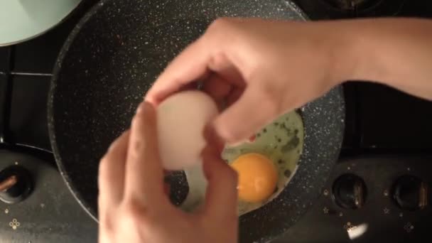 Het ei wordt op een braadpan op een vies fornuis gesmeten, met een hele dooier — Stockvideo