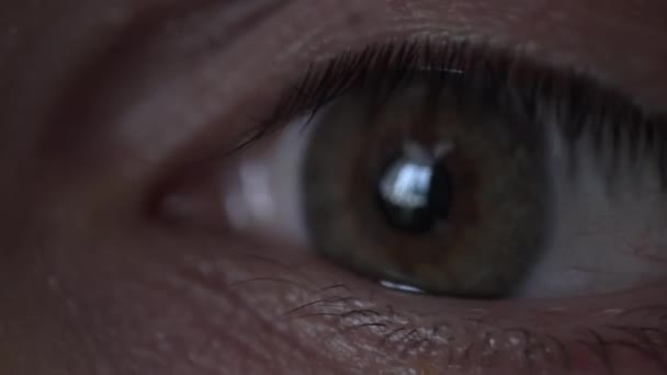 Närbild. Mänskligt öga. blinkar, tittar på kameran, kisar — Stockvideo
