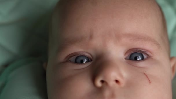 Babys ansikte närbild, läppar och ögon av en nyfödd. — Stockvideo