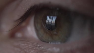 Yakın plan, makro, göz bebeği, göz bebeği, kahverengi, yeşil. Pencereden dışarı bakıyorum.