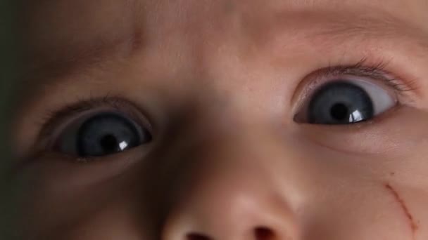 Крупним планом блакитні очі дитини. Дивиться в камеру. Викидає нудьгу — стокове відео