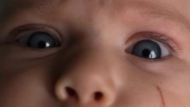 Detailní Záběr Modrých Očí Obočí Dětského Nosu Seděl Dětské Sedačce — Stock video