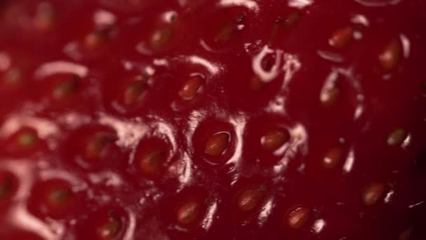 Panorama Morangos Vermelhos Maduros Frescos Gotas Água Super Macro Shot — Vídeo de Stock