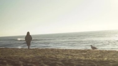 a girl in a dress and a denim jacket walks along the sand on the seashore, straightens her long hair with her hand. a seagull stands nearby, the last rays of the sun warm