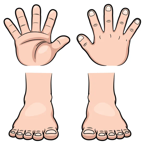 Handen en voeten — Stockvector