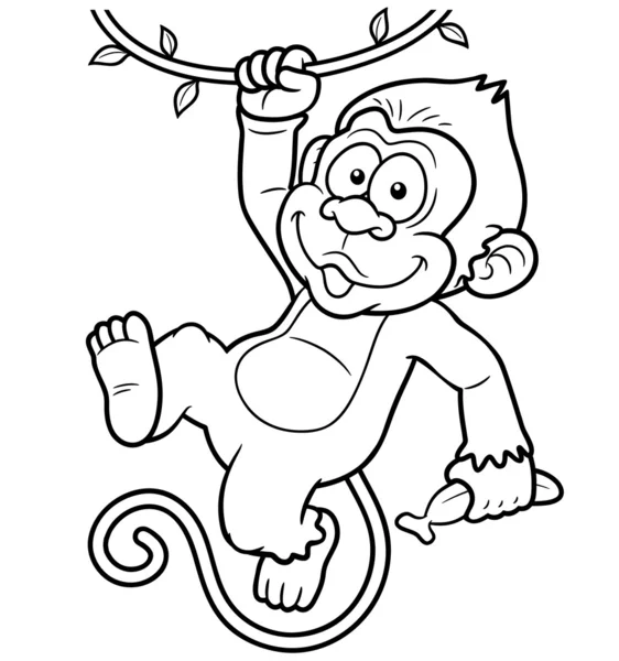 Monos de dibujos animados — Vector de stock