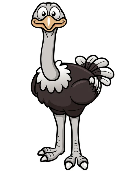 Cartoon ostrich — Stock Vector