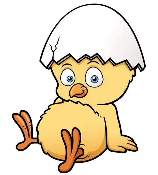 Pollito — Vector de stock