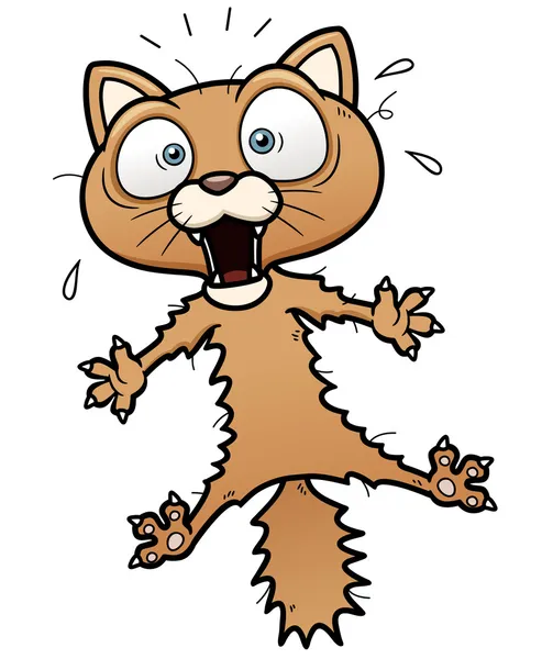 Miedo gato de dibujos animados — Vector de stock