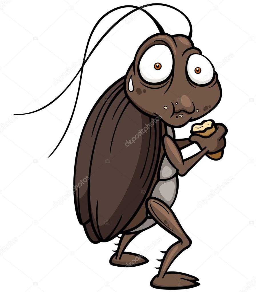 Cartoon cockroach