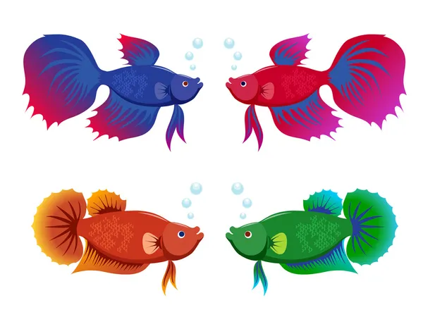 Fighting fishes — Stock Vector