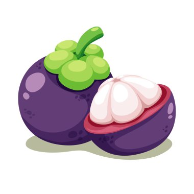 Mangosteen