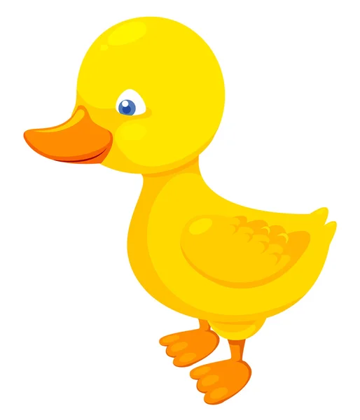 Cute duck — Stock Vector