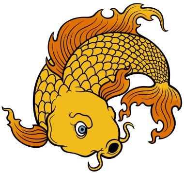Koi balığı.