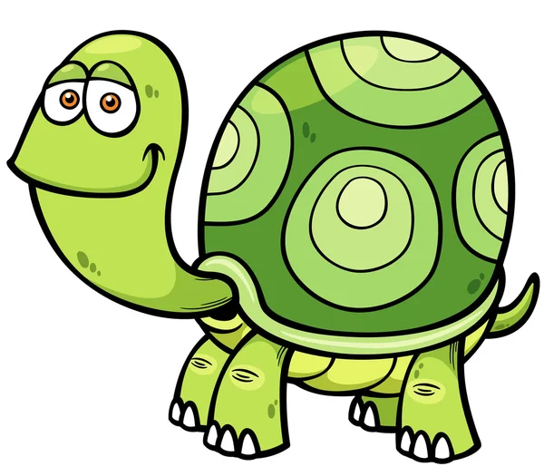 Tortuga de dibujos animados — Vector de stock