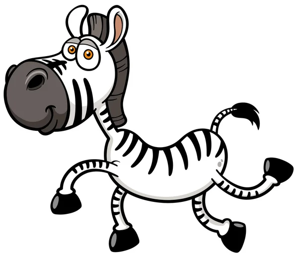 Zebra — Stock Vector