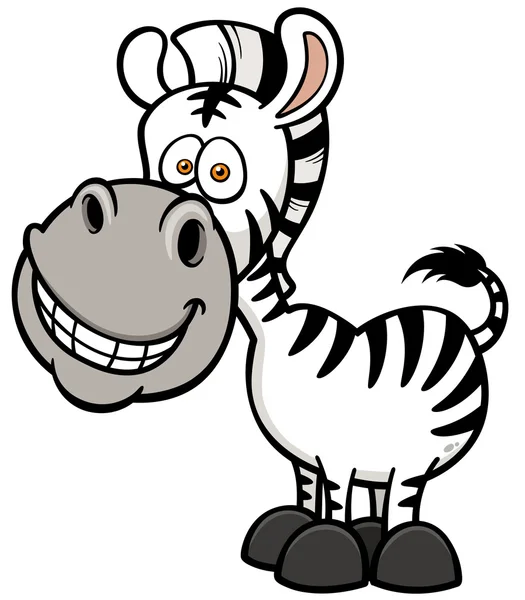 Zebra - Stok Vektor