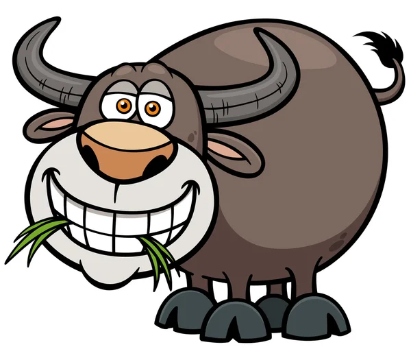 Buffalo — Stock Vector