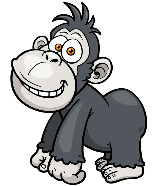 Gorilla — Stock Vector