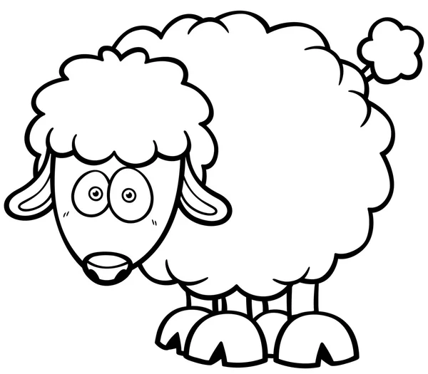 Tecknade fåren — Stock vektor