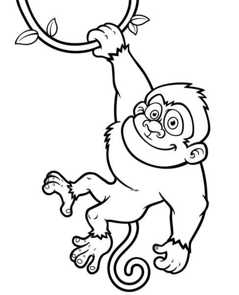 Macaco. — Vetor de Stock