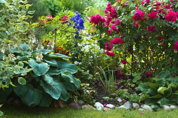 Kaunis puutarha — kuvapankkivalokuva