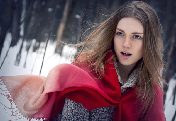 Portrét mladé krásné dívky, s červeným šátkem zim — Stock fotografie