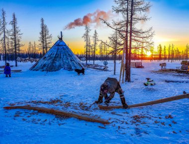 Nenets göçebeleri, Rusya 'nın Yamal-Nenets özerk bölgesindeki tundrada yaşamaktadır.