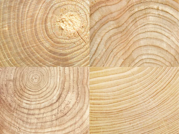 Lihgt Textura de madeira fundo — Fotografia de Stock