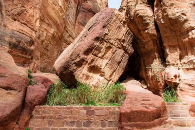 Güzel Siq Vadisi Ürdün 'deki Petra kaya şehrine gidiyor.