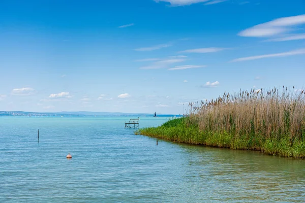 Linda Paisagem Lago Verão Com Água Azul Turquesa — Fotografia de Stock