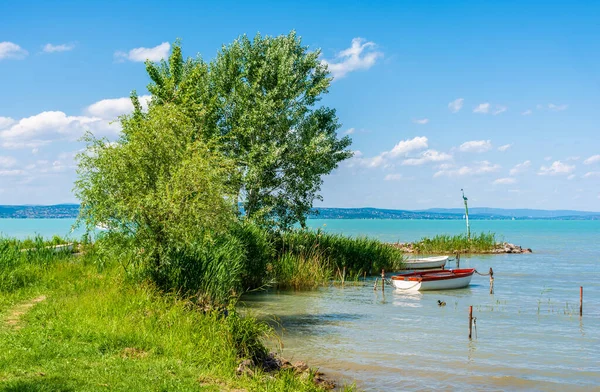 Linda Paisagem Lago Verão Com Água Azul Turquesa — Fotografia de Stock