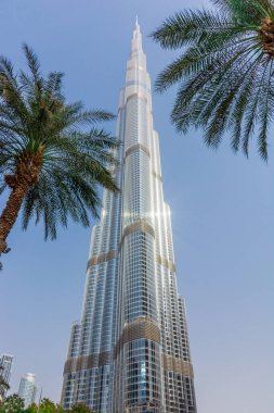 Green palm leaves against the backdrop of the Burj Khalifa building, cityscape