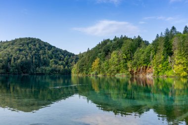 Plitvice lakes in Croatia, beautiful summer landscape with turquoise water