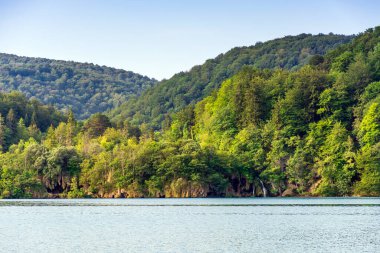 Plitvice lakes in Croatia, beautiful summer landscape with turquoise water