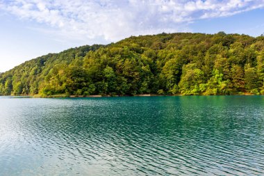 Plitvice lakes in Croatia, beautiful summer landscape with turquoise water