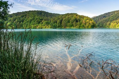 Plitvice lakes in Croatia, beautiful summer landscape with turquoise water